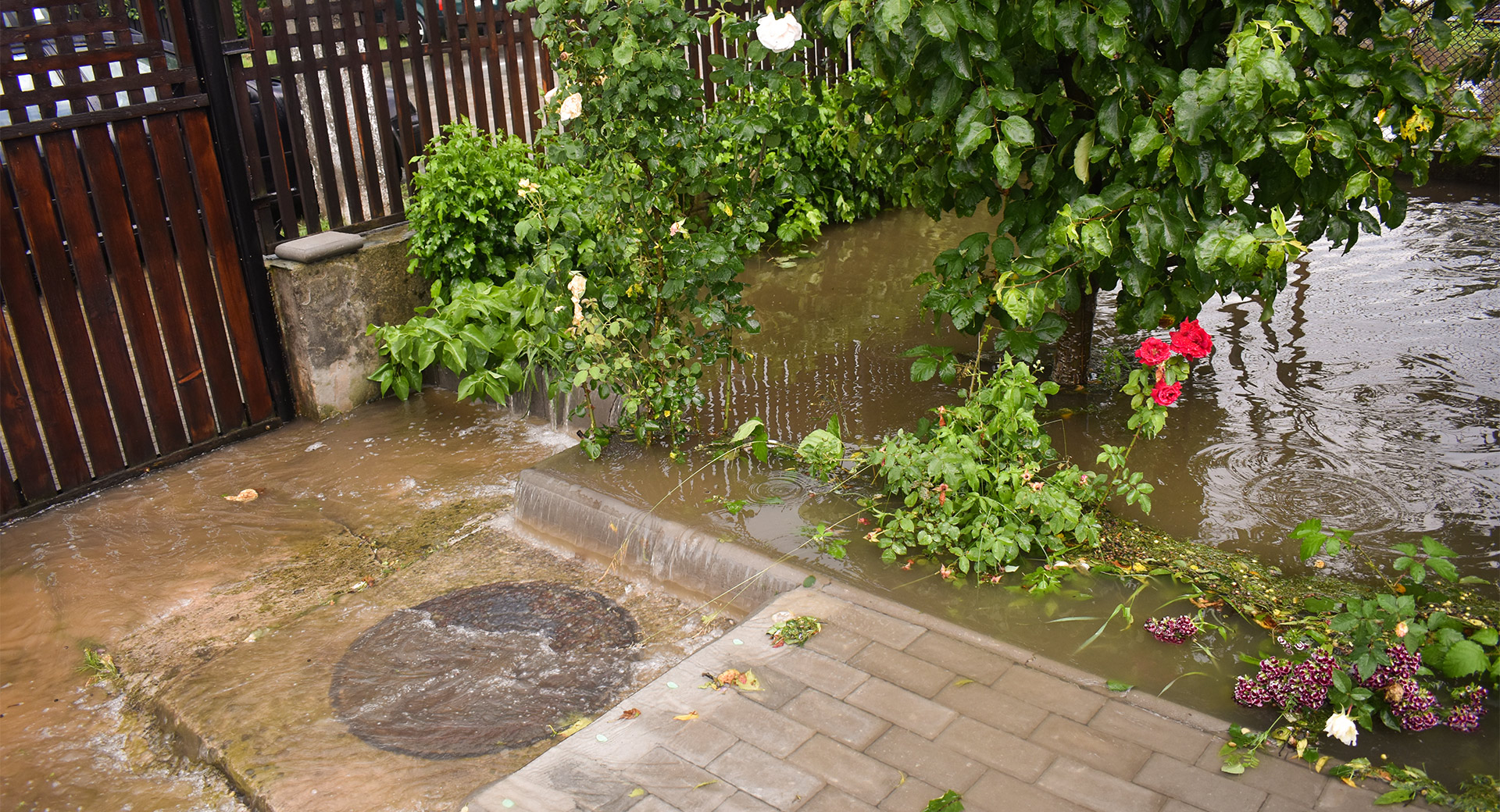 A flooded garden with water over the grass and patio