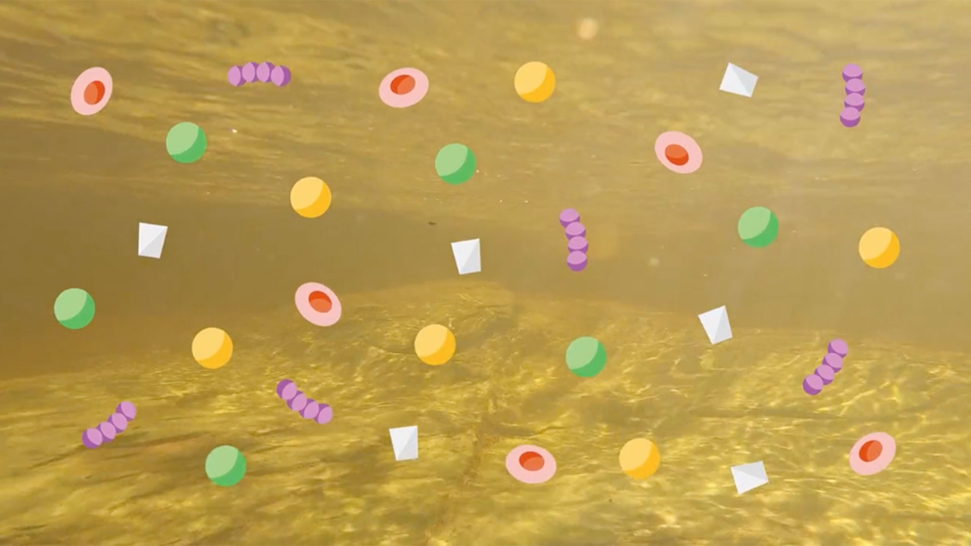 Water Treatment Infographic Before