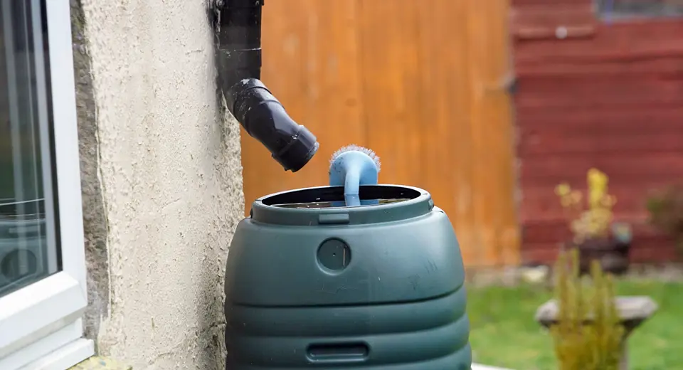 Water is a precious resource. Every year the population of the South East grows, but the amount of water available stays the same. 