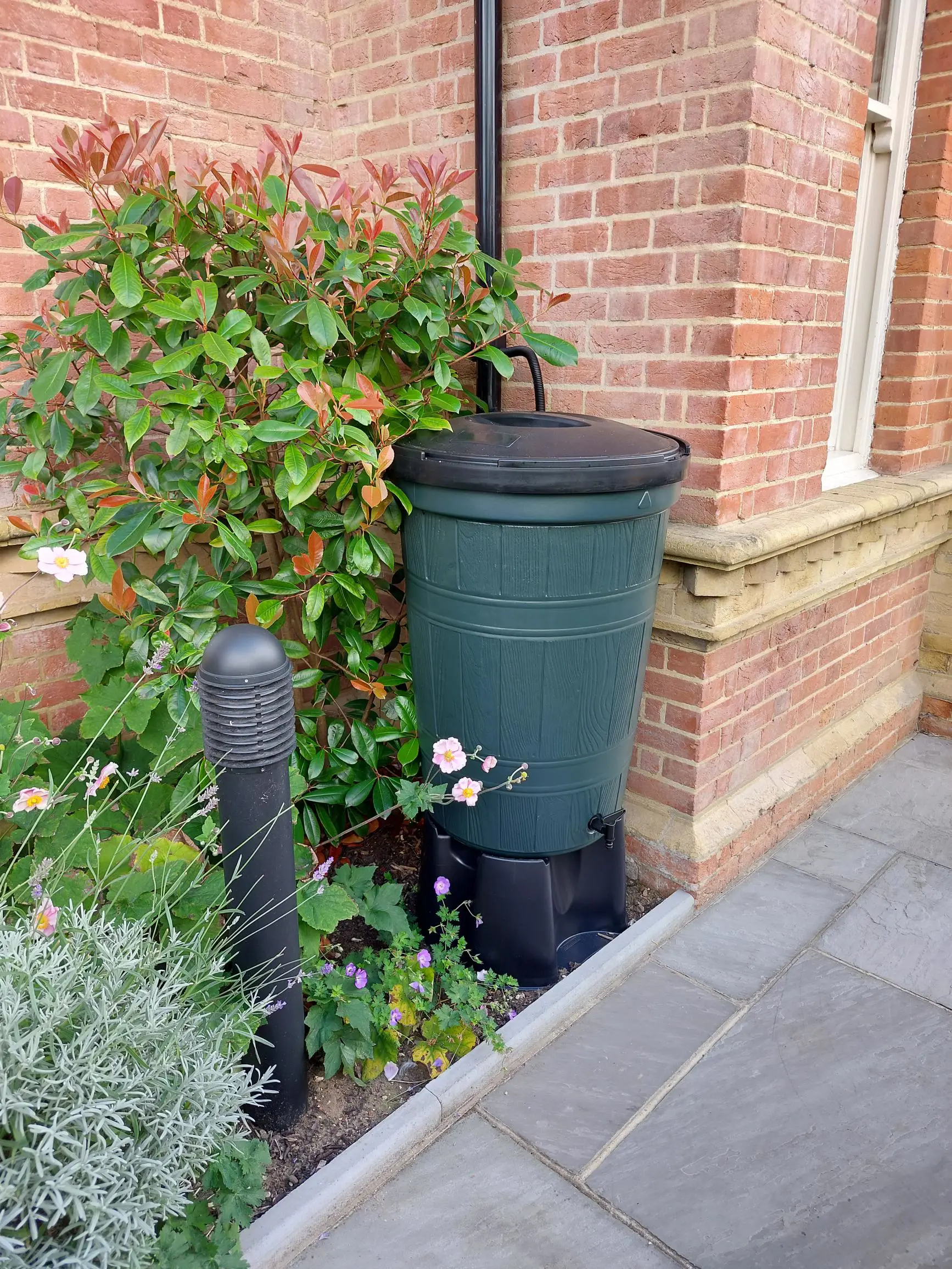 Water is a precious resource. Every year the population of the South East grows, but the amount of water available stays the same.