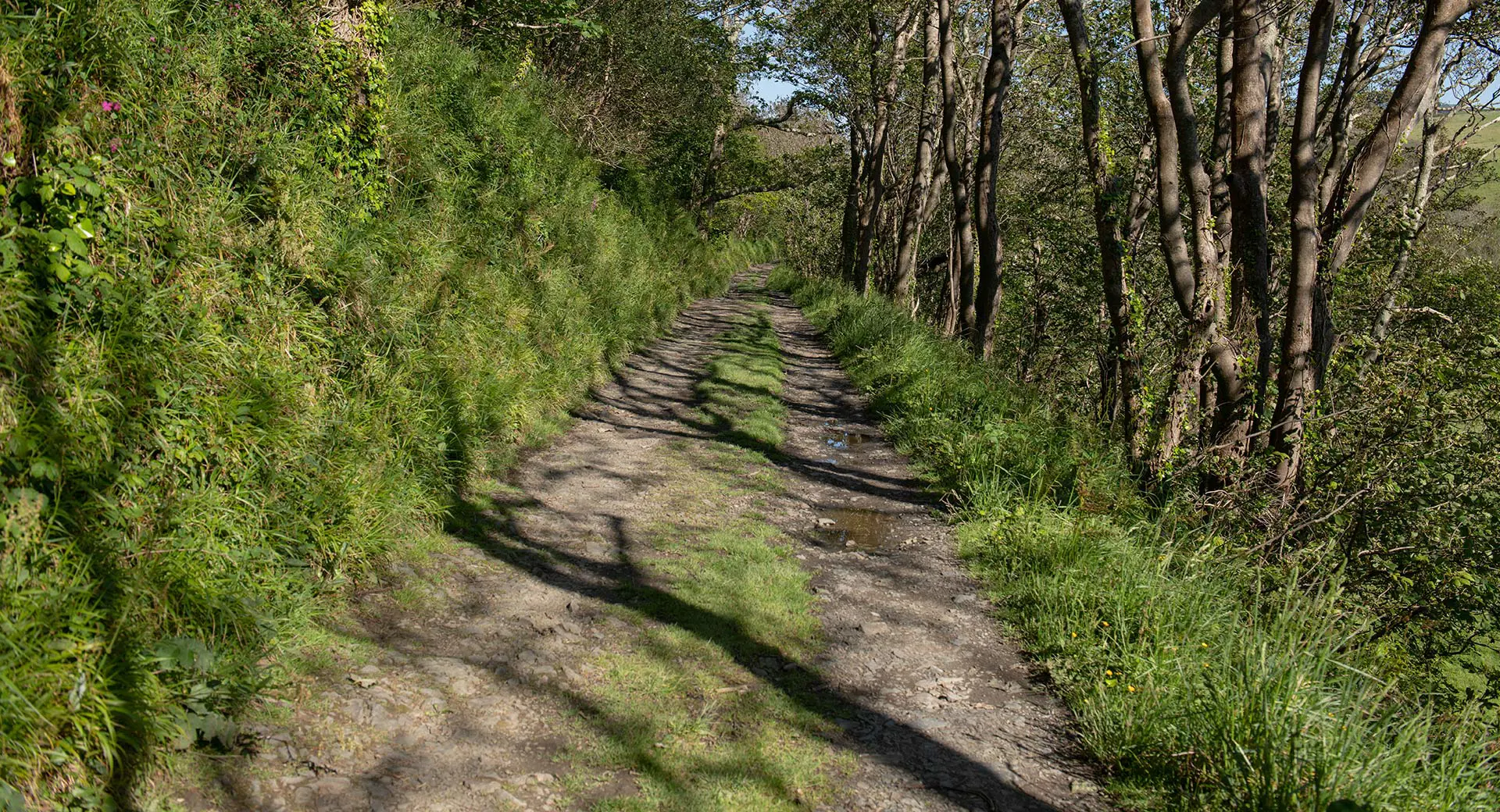 Shutterstock 1988612180