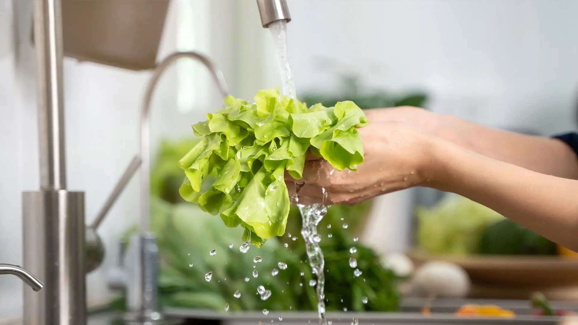 Shutterstock 2071760462