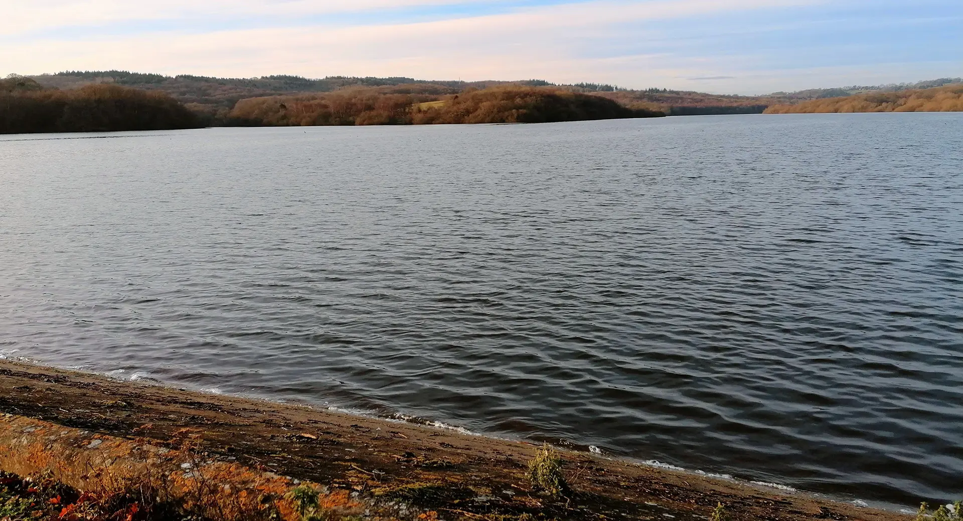 Darwell Reservoir