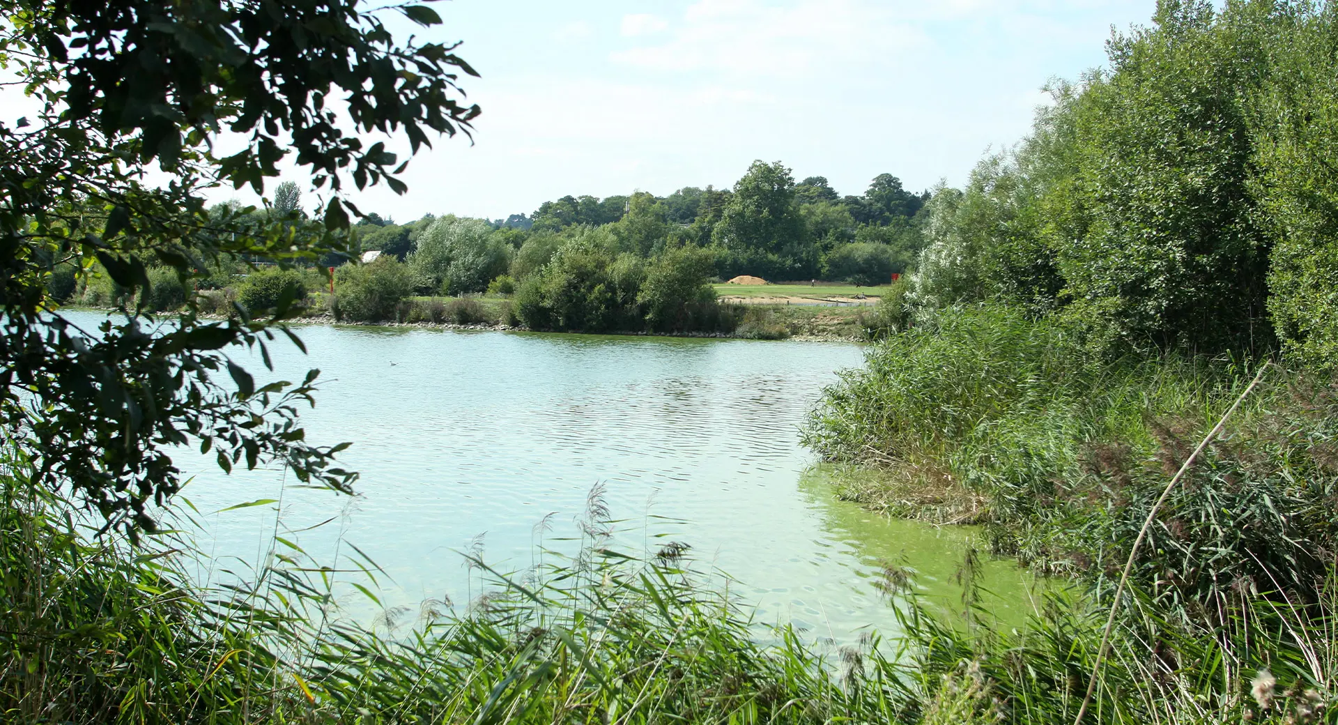 TESTWOOD 2010 14CONNORS