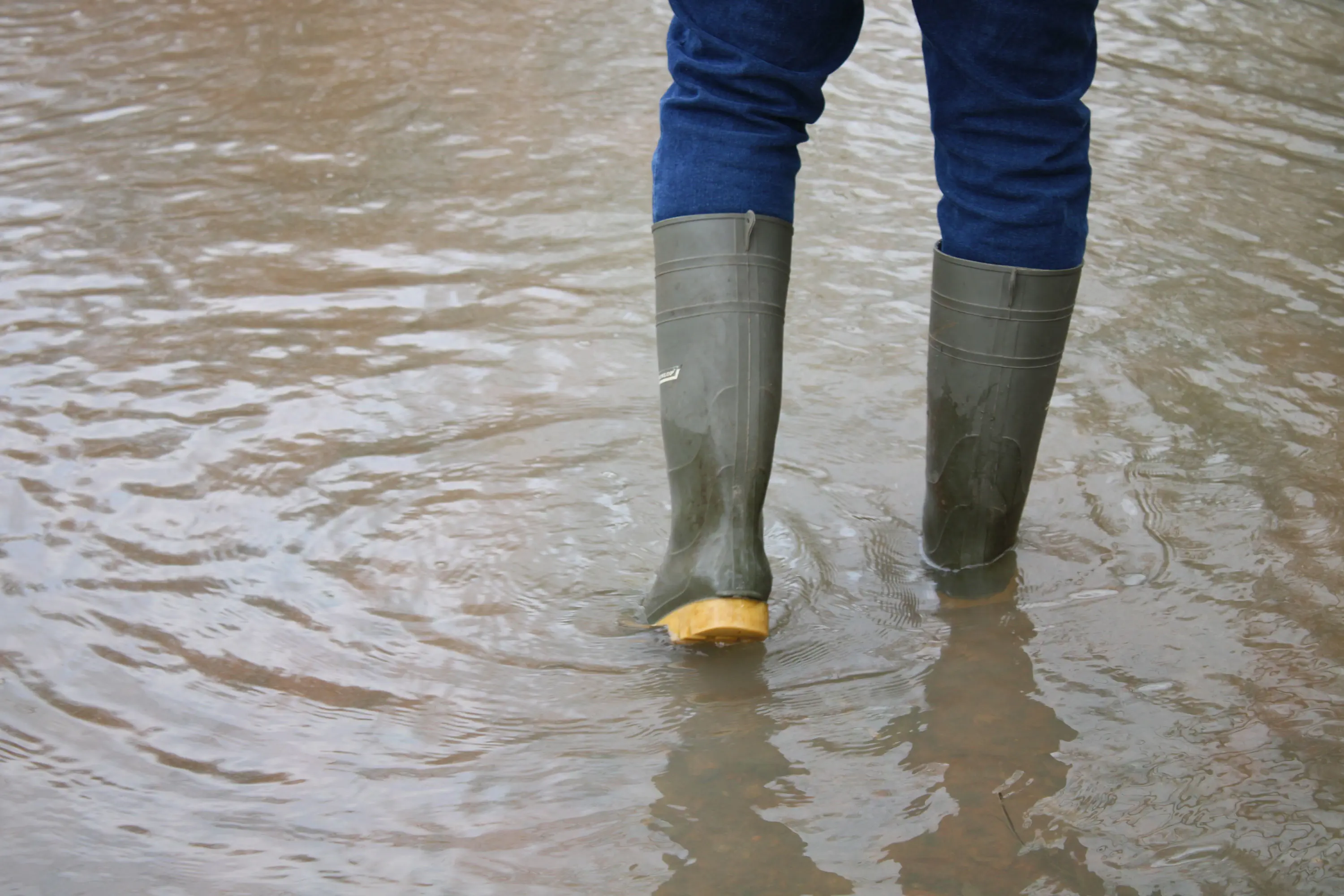 Confirm the location of your leak